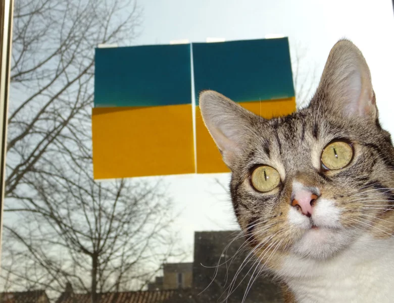Slava Ukraini – Ruhm der Ukraine